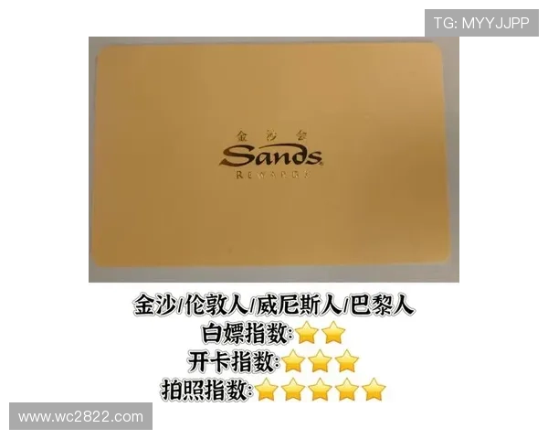 探索澳门贵宾厅官网的独特魅力与娱乐体验指南