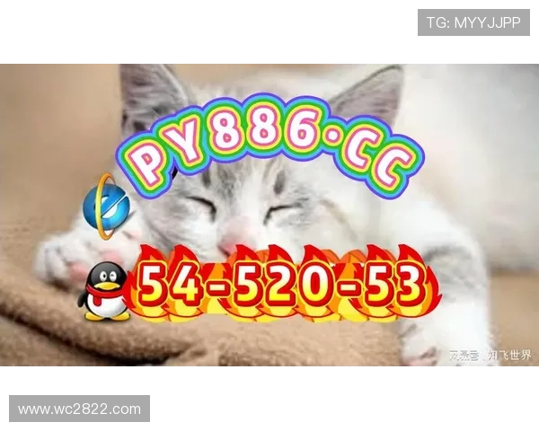 杏彩网址:如何选择最适合你的在线娱乐平台